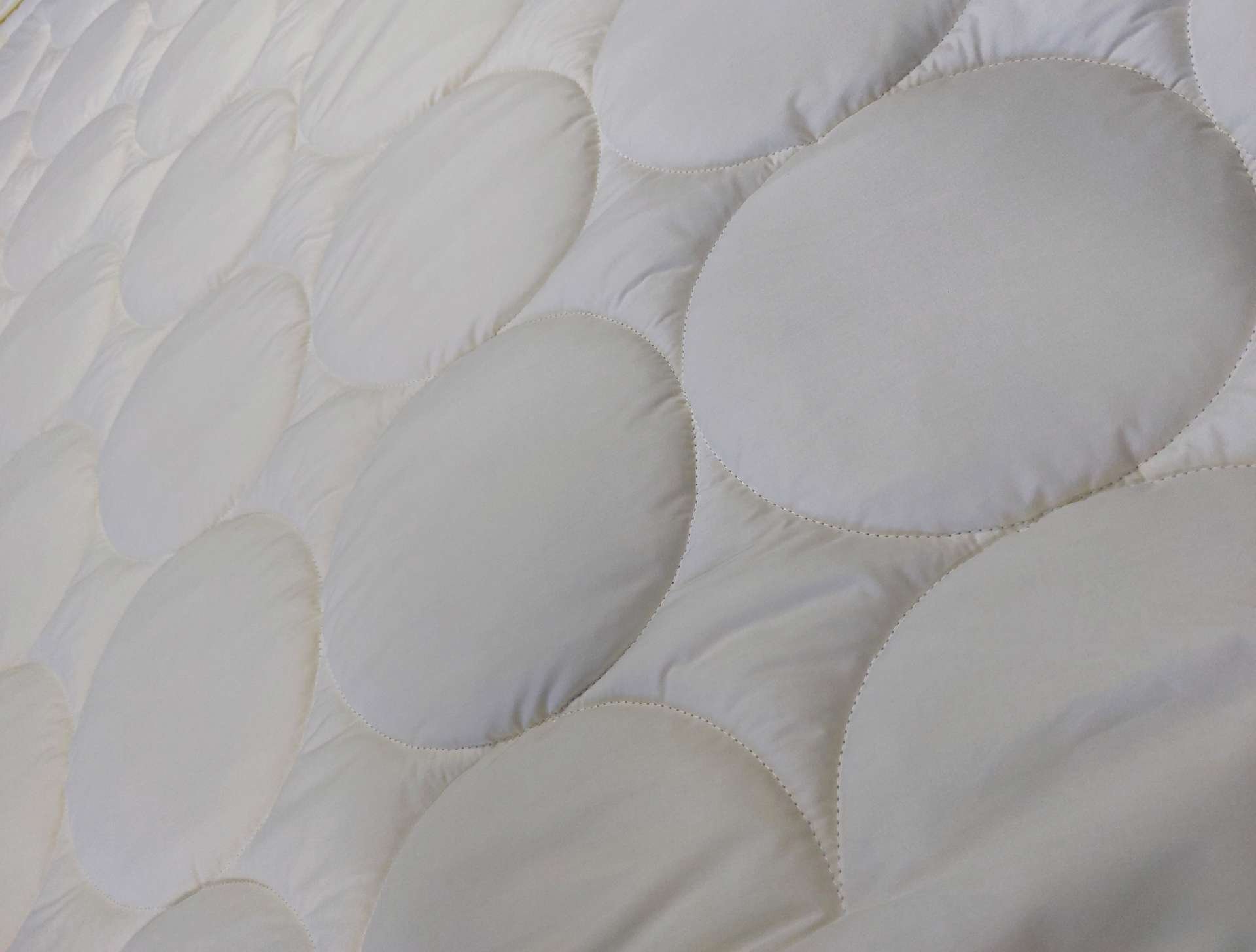 Ραφή τύπου κύκλος